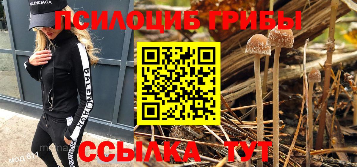 Пушкино  Псилоцибиновые грибы мицелий  Вход с VPN  Галлюциногенные грибы прущие грибы 