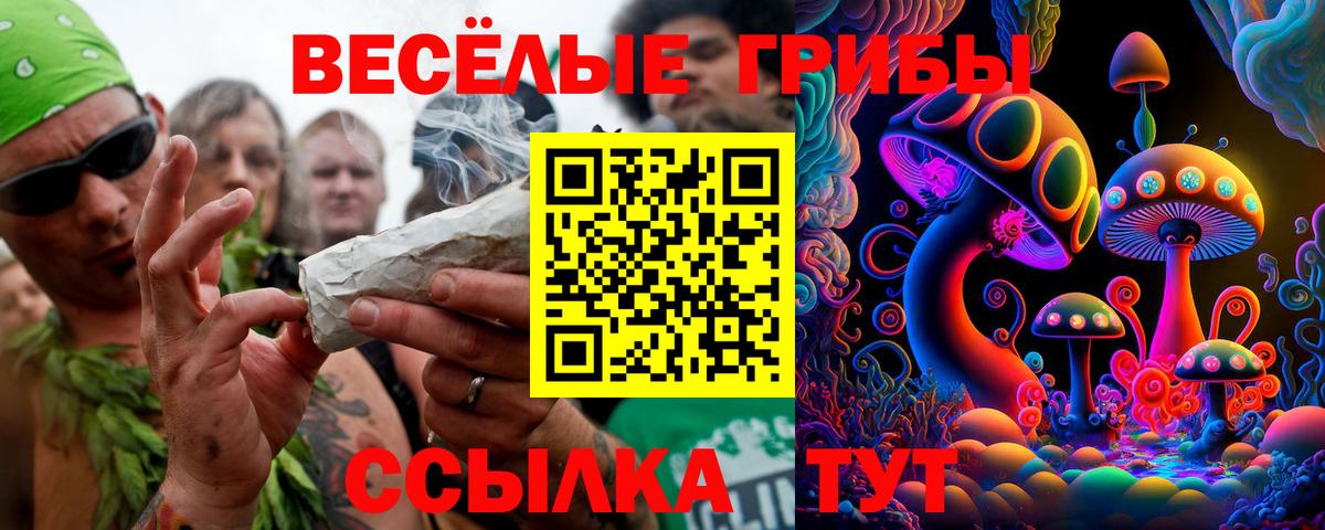 Псилоцибиновые грибы ЛСД Пушкино