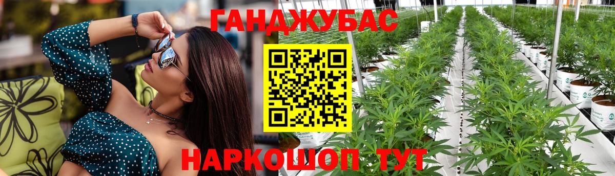 Бошки марихуана индика Пушкино